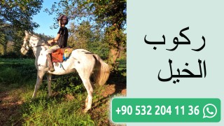 ركوب الخيل